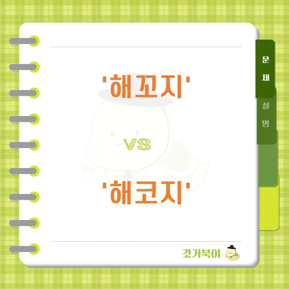 해꼬지 vs 해코지 문제 이미지