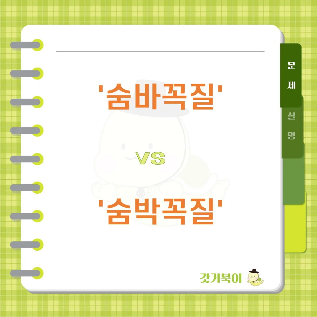 숨바꼭질 vs 숨박꼭질 문제 이미지