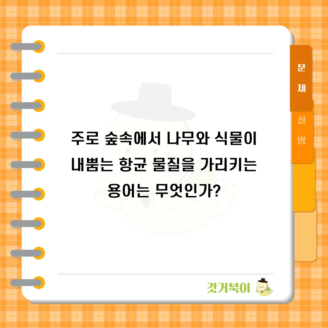 주로 숲속에서 나무와 식물이 내뿜는 항균 물질을 가리키는 용어는 무엇인가? 문제 이미지
