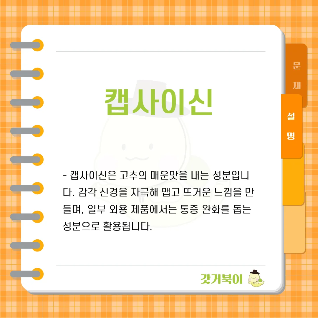 고추의 매운맛을 내는 성분으로 통증 완화와 대사 촉진 효과도 있는 물질은 무엇인가? 설명 이미지