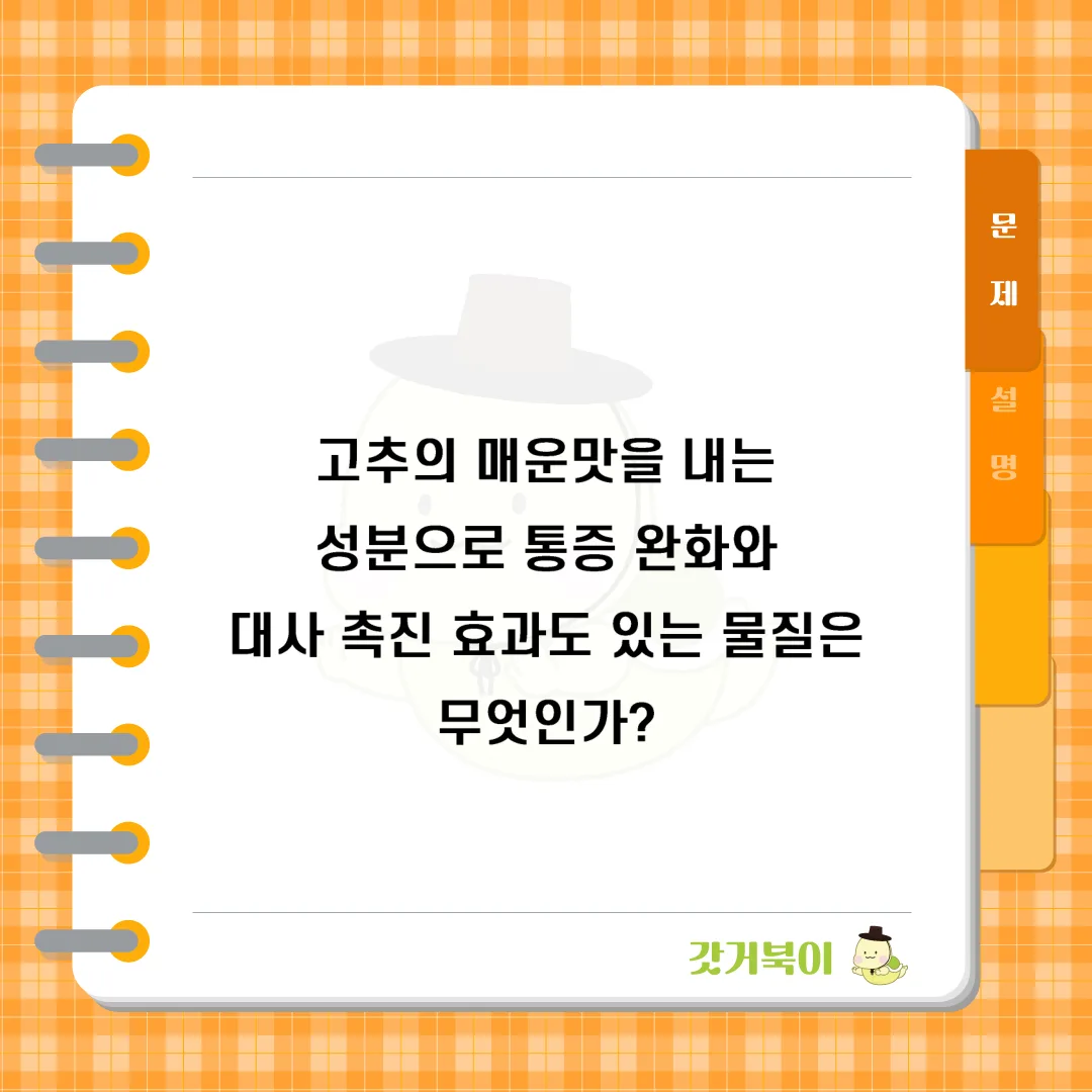 고추의 매운맛을 내는 성분으로 통증 완화와 대사 촉진 효과도 있는 물질은 무엇인가? 문제 이미지