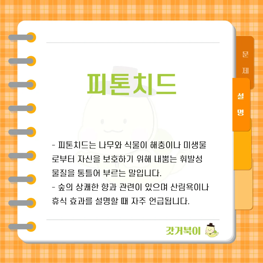 주로 숲속에서 나무와 식물이 내뿜는 항균 물질을 가리키는 용어는 무엇인가? 설명 이미지